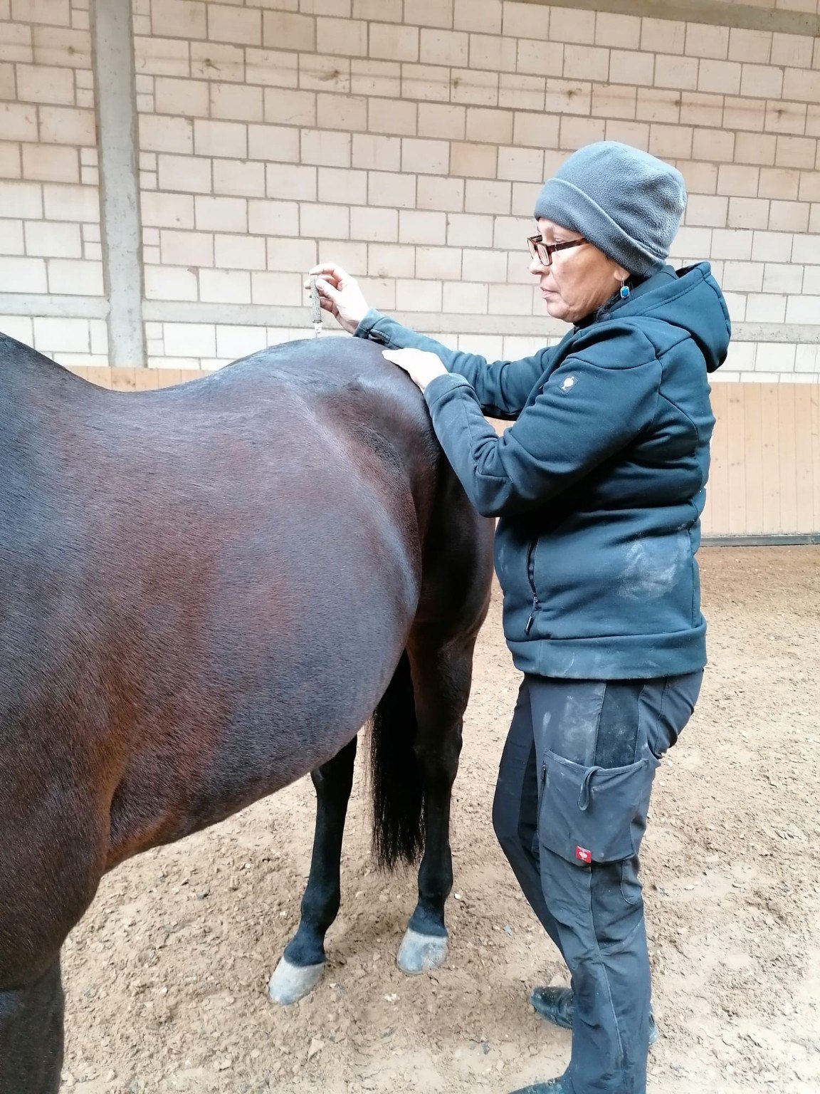 Sabine Karges bei der Behandlung eines Pferdes